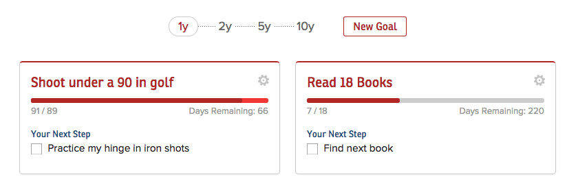 GoalChamp track goal